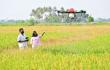 Indian entrepreneurs tackling extreme heat secure funding from Expo City Dubai Foundation